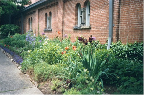 Photo of Sebastian's Garden